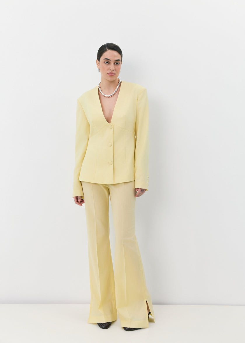 Жовтий жакет